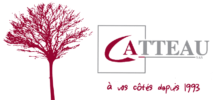 logo catteau